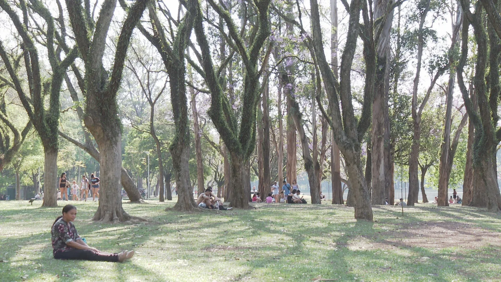 Prefeitura de SP vai usar laser e inteligência artificial...